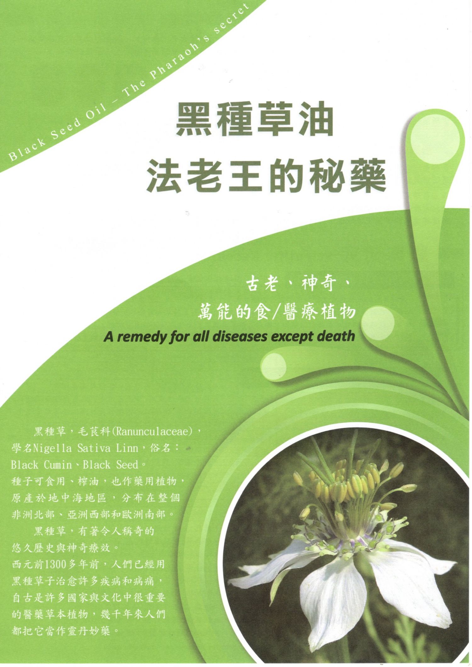 德國頂級冷壓黑種草油Seitenbacher Black Cumin Oil 250ml/100m-活力